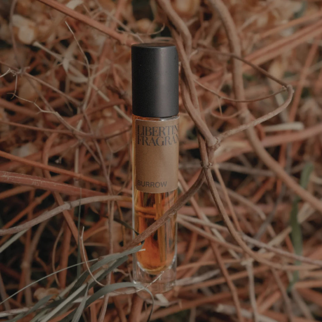 Libertine Fragrance | Eau De Parfum | Burrow 15mL *New scent!*