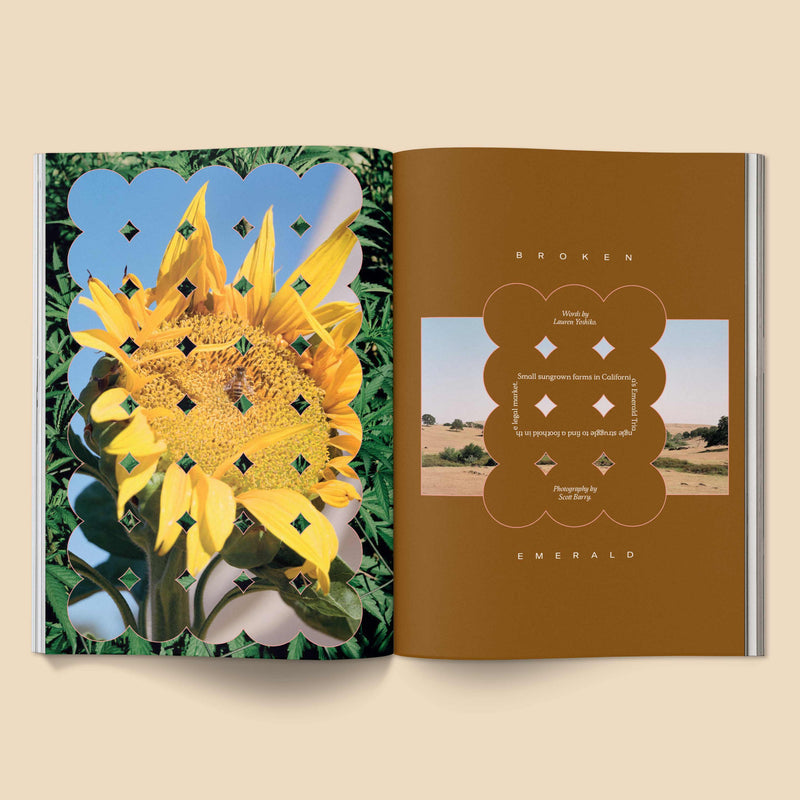 Broccoli Magazine | Issue 17