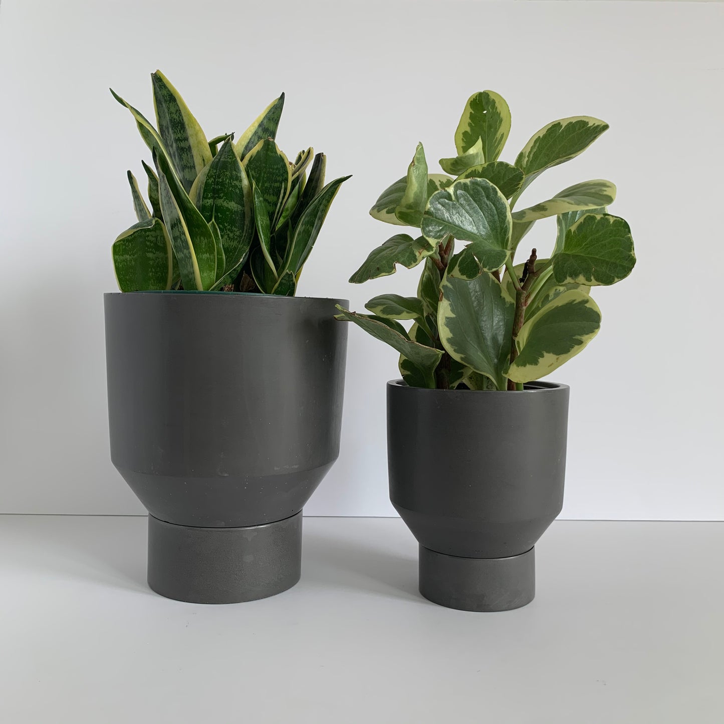 Funnel Planter | Charcoal 6”
