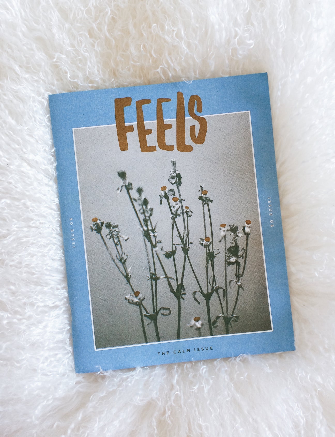 Feels Zine | Issue 6 | Calm