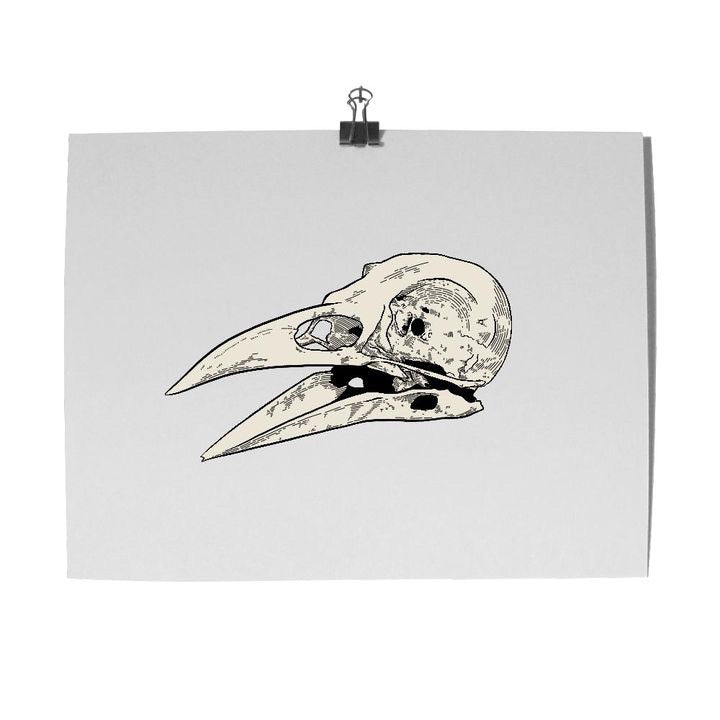 Art Print | Bird Skull