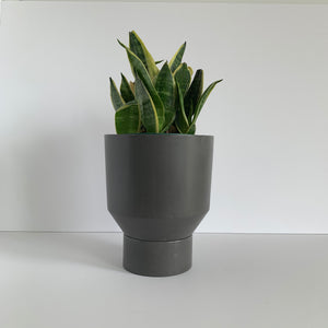 Funnel Planter | Charcoal 6”