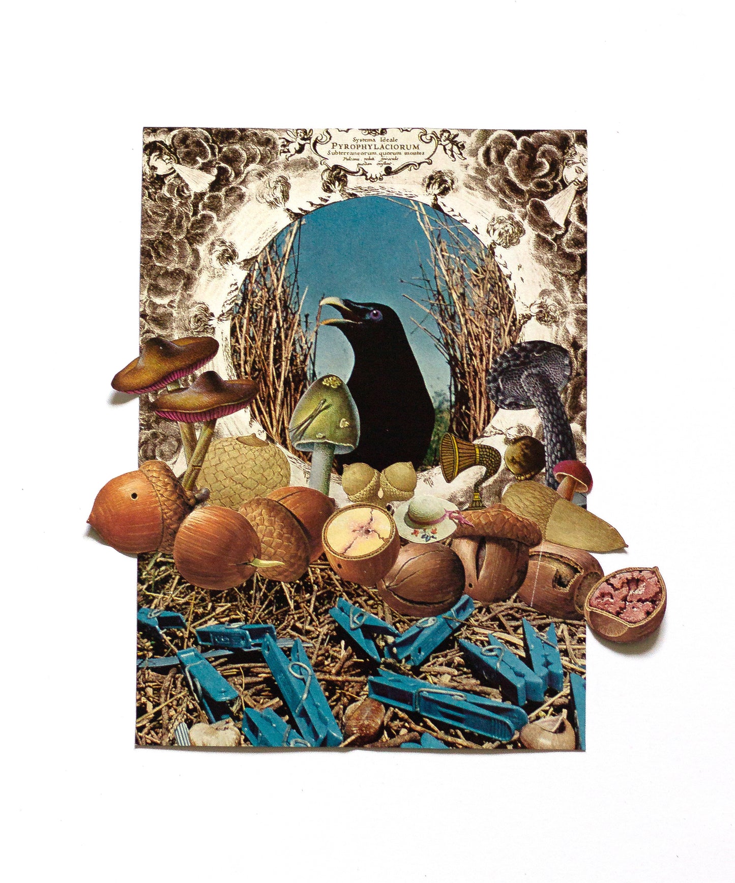 Collage Art Print | Birds and Boobies 8x10