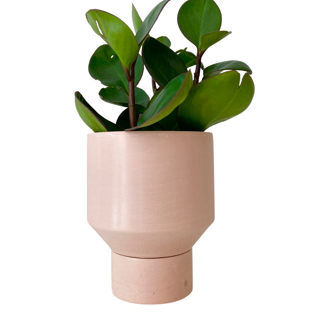 Funnel Planter | Light Pink 4”