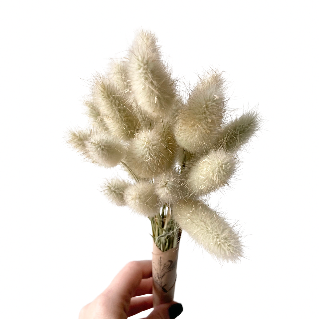 Dried Grass Bundle | Bunny Tails | *Local Yeg Orders Only*