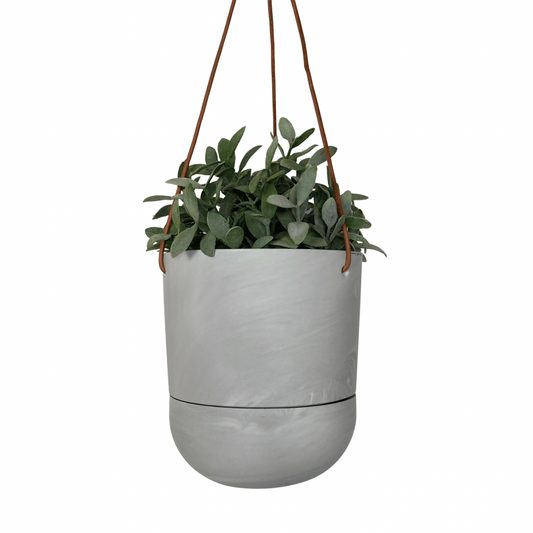 Hanging Planter | Marbled Pearl 6”