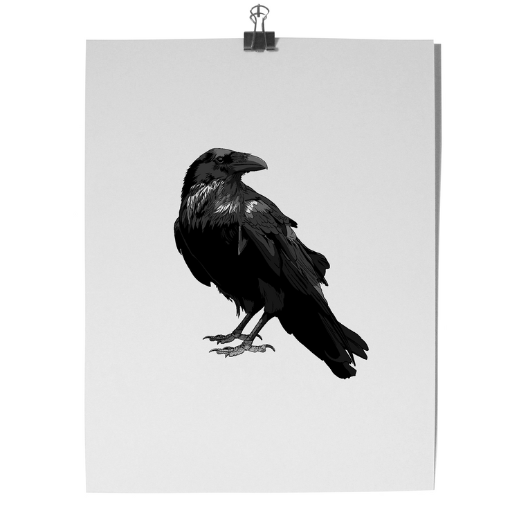 Art Print | Raven