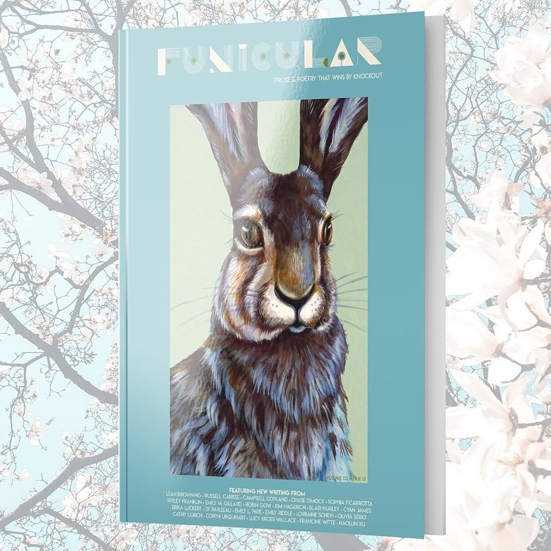 Funicular Magazine | Volume 2 : Issue 01
