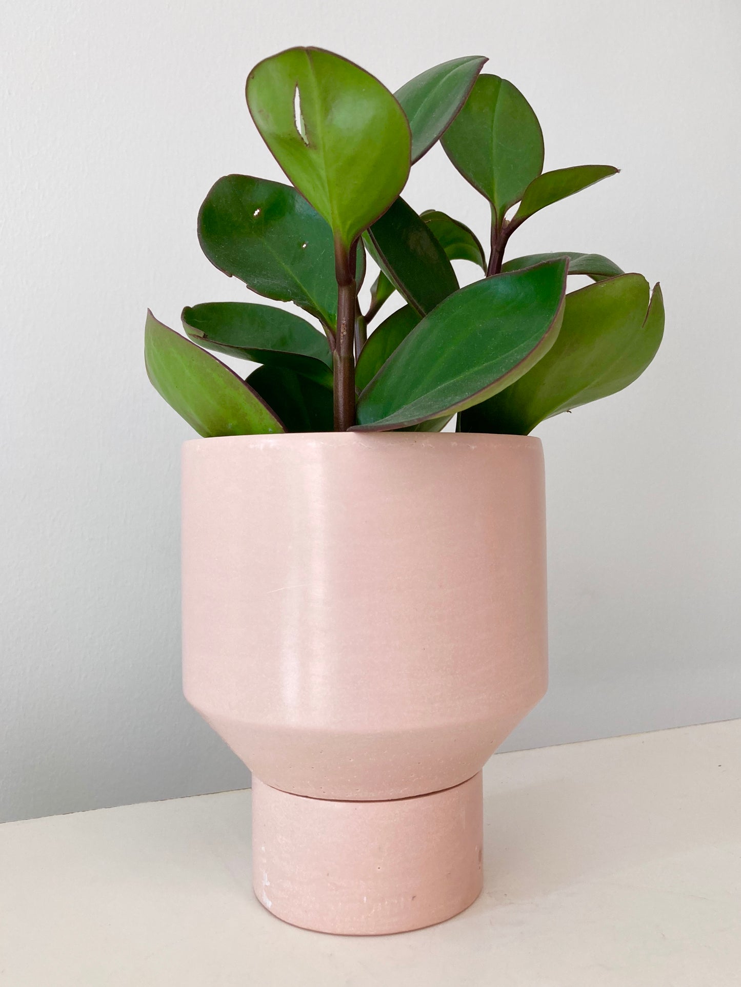 Funnel Planter | Light Pink 4”