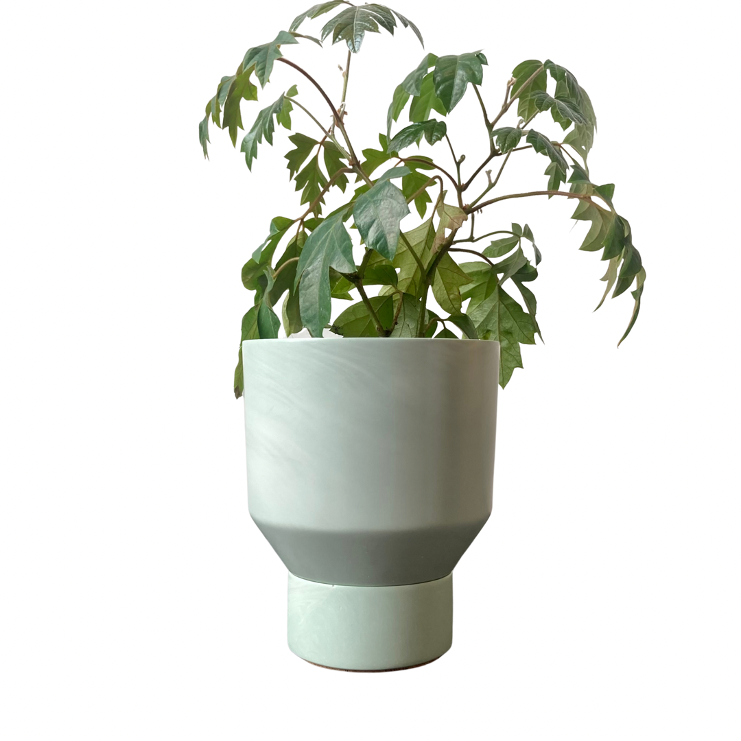 Funnel Planter | Green Marble