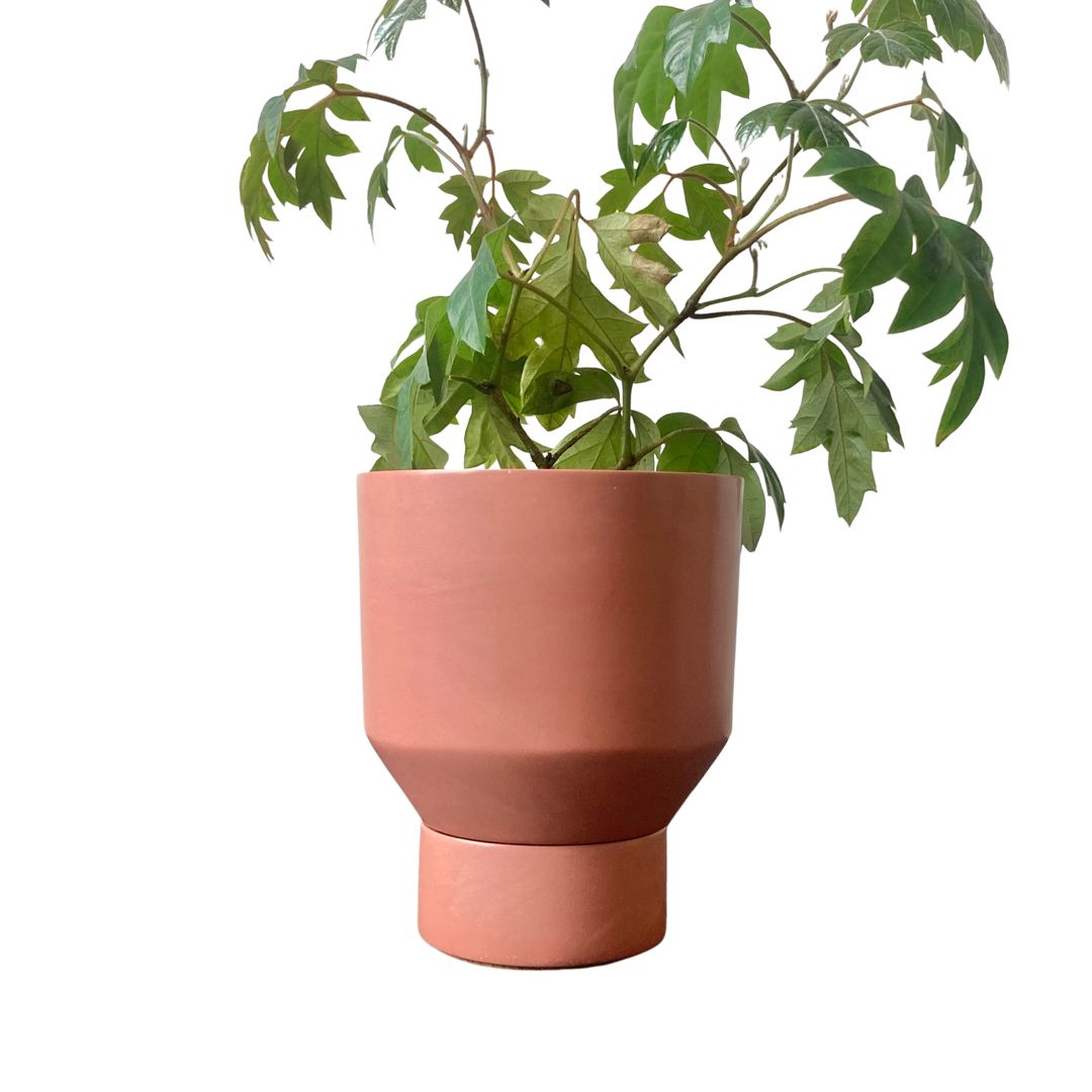 Funnel Planter | Terracotta