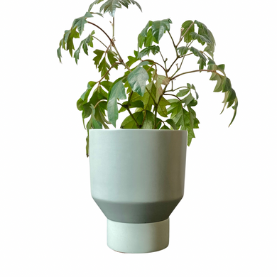 Funnel Planter | Sage Green